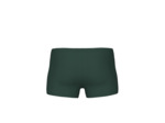 Short de bain arena Performance Poseidonia pour hommes