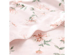 DRAP PLAT | Nature