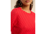 Pull ajouré détails festonnés