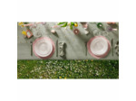 6 assiettes plates 25cm Danbury