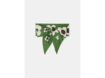 Foulard Erin Cactus en 0