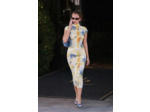 Dress Sleeveless