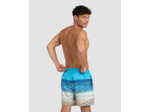 Boxer de plage arena Placed pour hommes