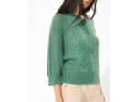 Pull nouvelle pousse
