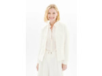 Veste vsixtine