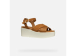 D XAND 2.2S