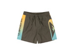 Maillot Quiksilver Jam GRAPE.