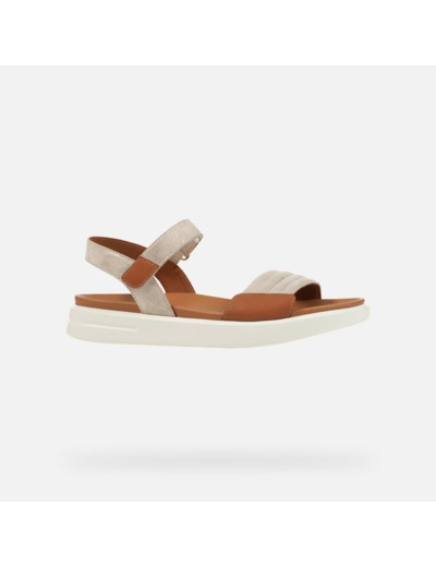 D XAND 2S