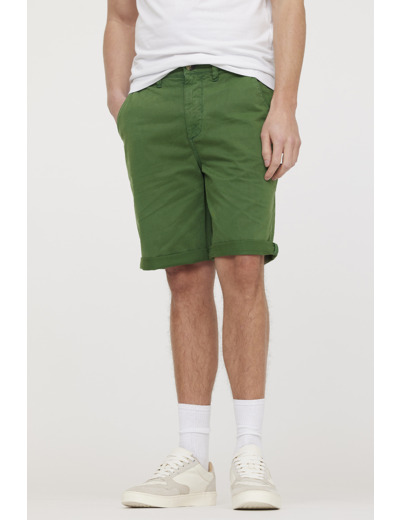 Short NASHO Cactus