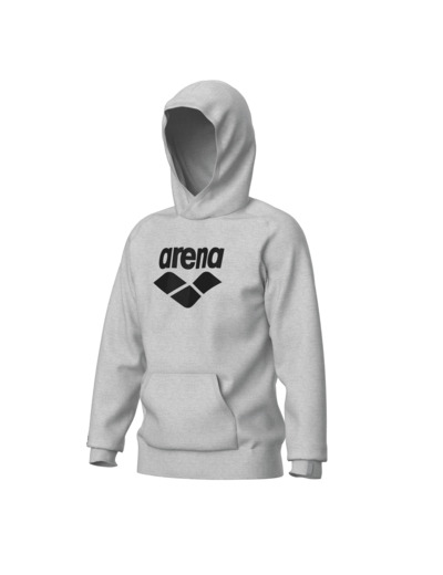 Sweat-shirt à capuche unisexe arena Graphic