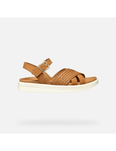 D XAND 2S