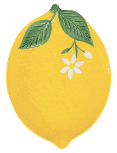 FLEURS ET CITRONS Plat service 25x18.5cm