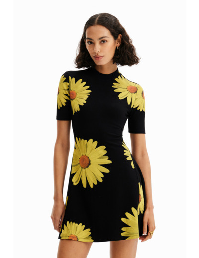 Robe Manches Courtes