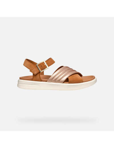 D XAND 2S