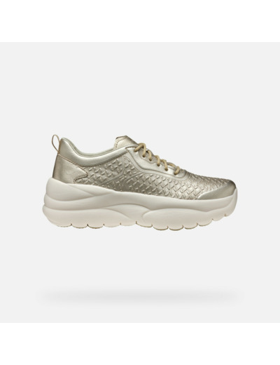 D XTORS