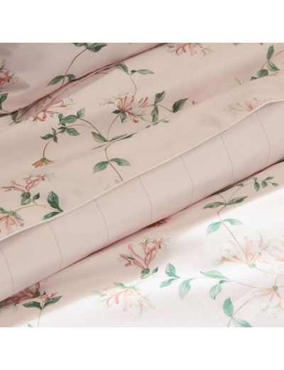 DRAP PLAT | Nature