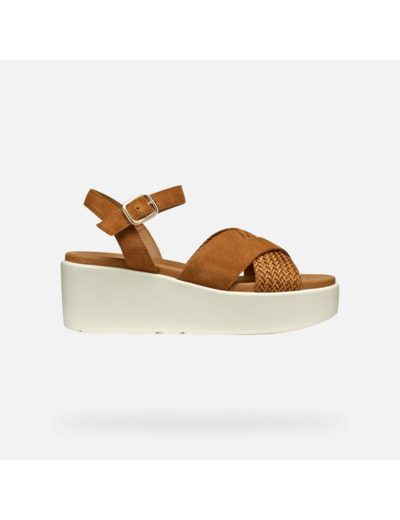 D XAND 2.2S