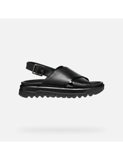 D XAND 2.1S
