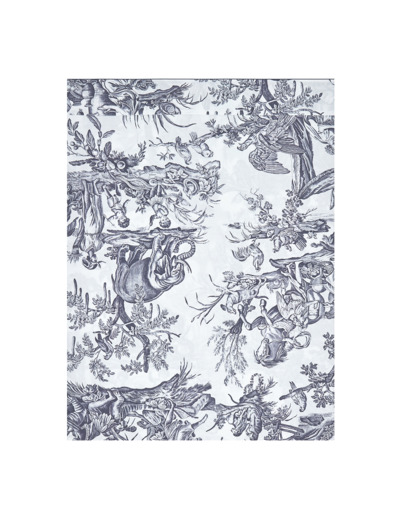 DRAP PLAT | 4 Continents - Blanc/Bleu
