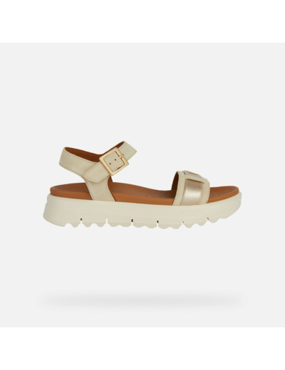 D XAND 2.1S