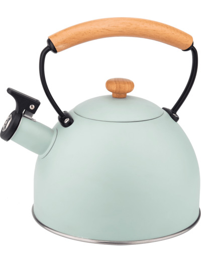 BOUILLOIRE à sifflet 2.5L vert eau
