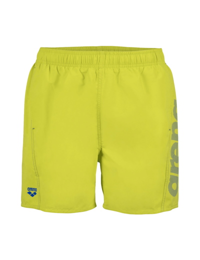 Boxer de plage arena Fundamentals Logo pour hommes