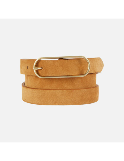 D BELT