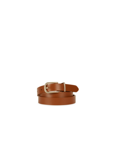 D BELT