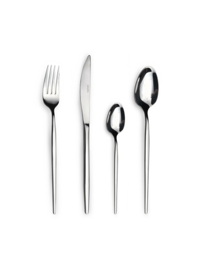 MENAGERE 24 PIECES
