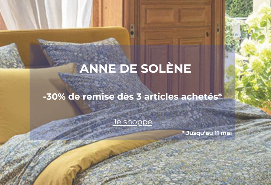 Anne de Solène