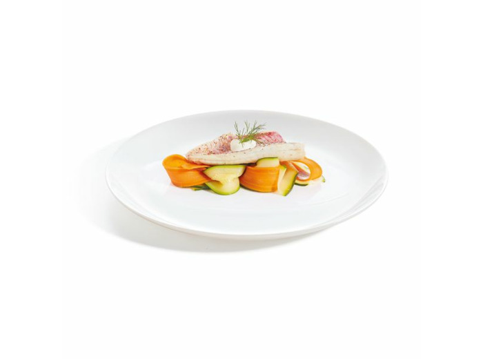 6 assiettes plates 27cm white Evolutions
