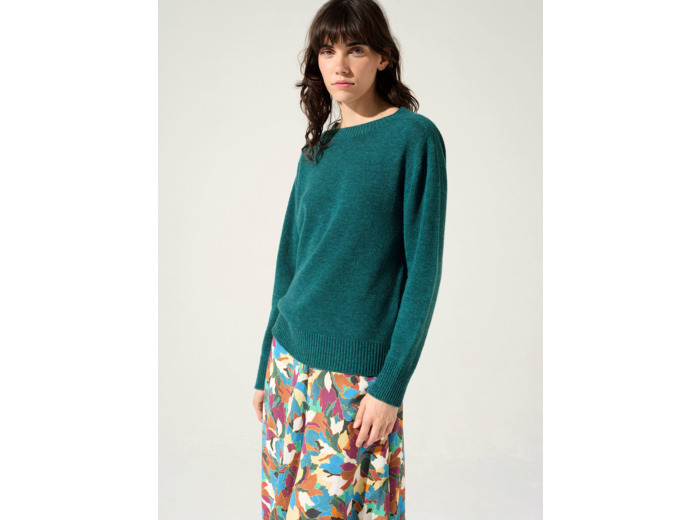 Pull baies de viburnum