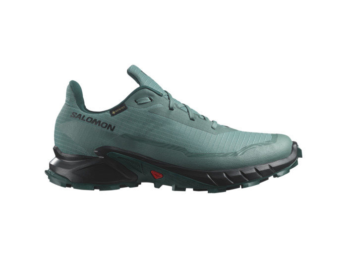 Alphacross 5 Gtx North Atlantic Black Sea Moss