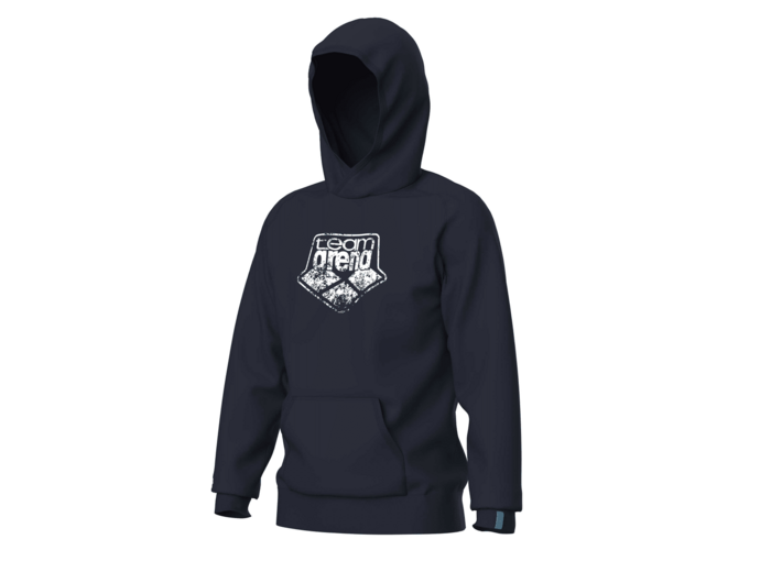 Sweat-shirt à capuche unisexe arena Graphic