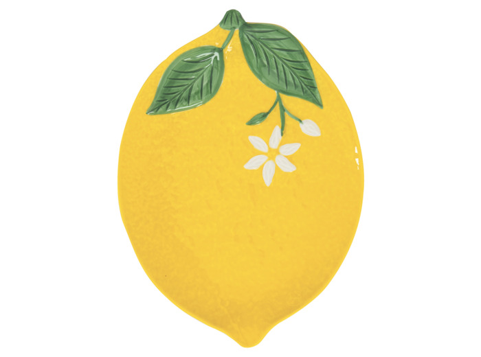 FLEURS ET CITRONS Plat service 25x18.5cm