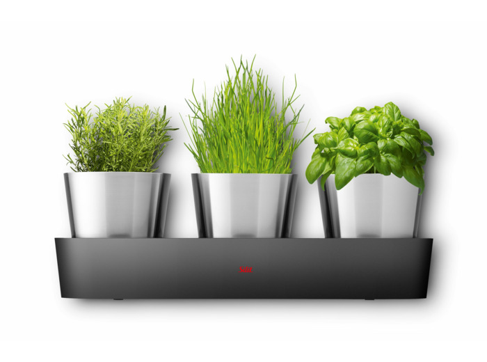 Jardin d'herbes aromatiques d'intérieur Collexio 3 pièces