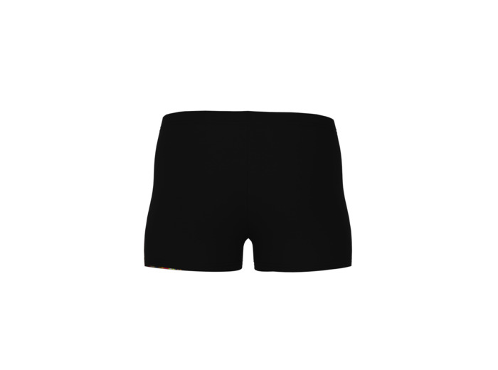 Short de bain arena Performance Palette pour garçons