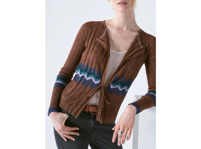 Cardigan in the woods