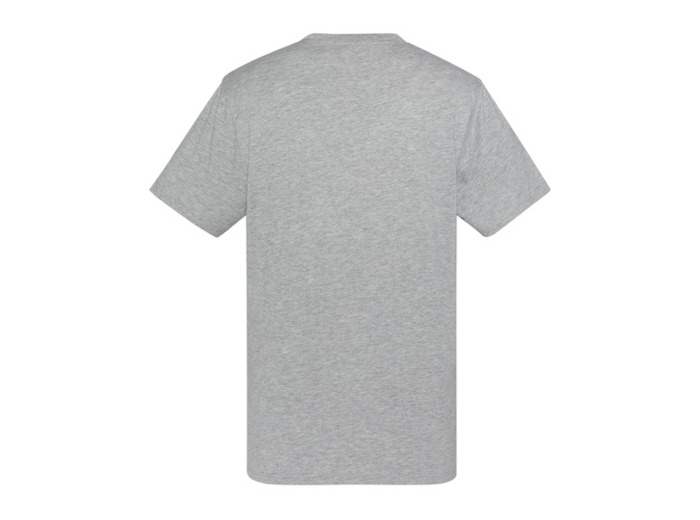 T-shirt col rond TSTERRY SCHOTT