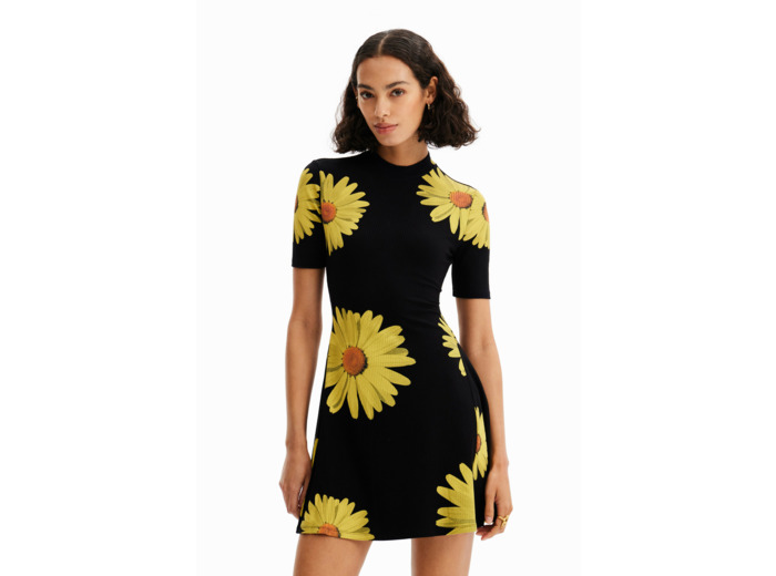 Robe Manches Courtes
