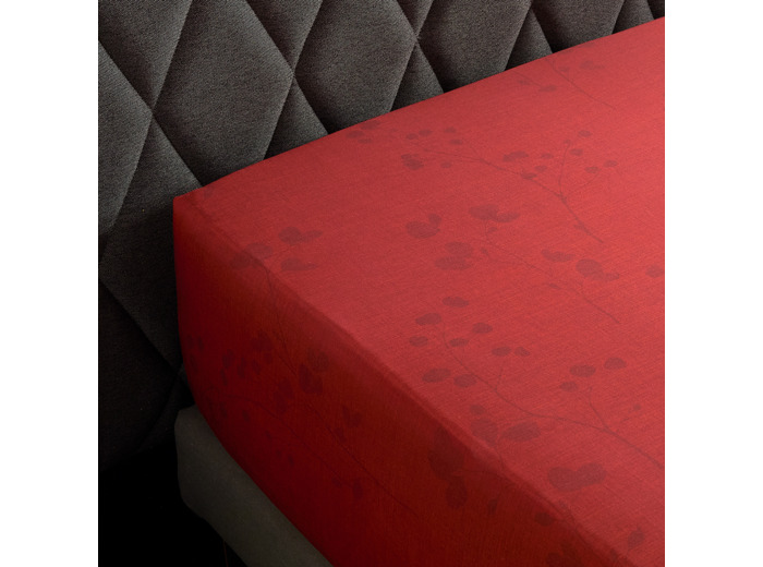 DRAP HOUSSE | Minimaliste