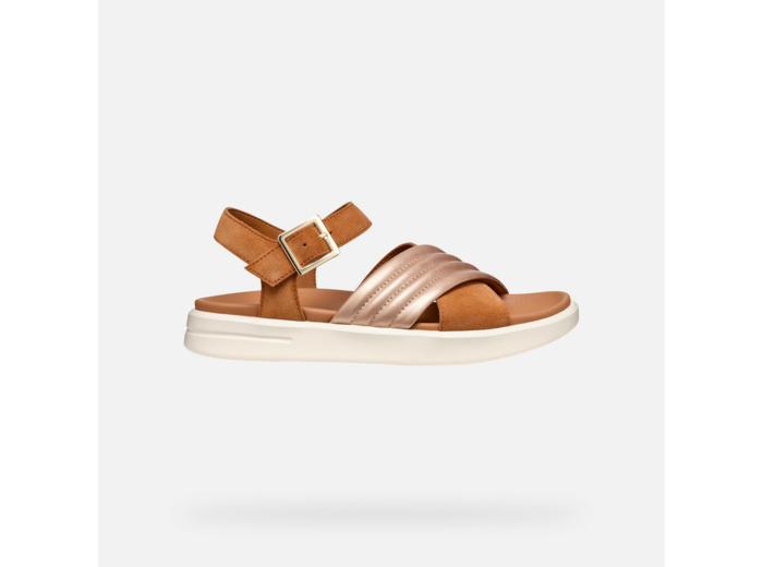 D XAND 2S