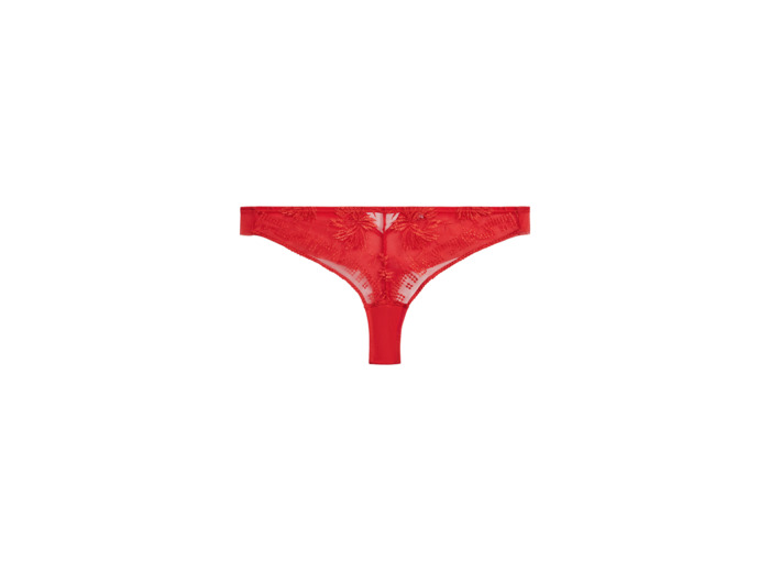 Tanga Rules of Attraction