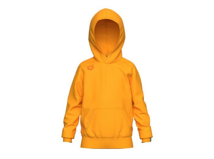 Sweat à capuche arena Team Junior Panel