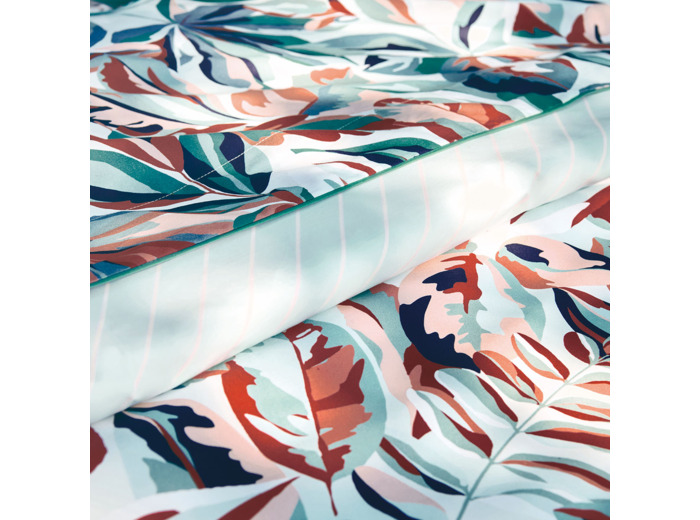 DRAP PLAT | Post Card