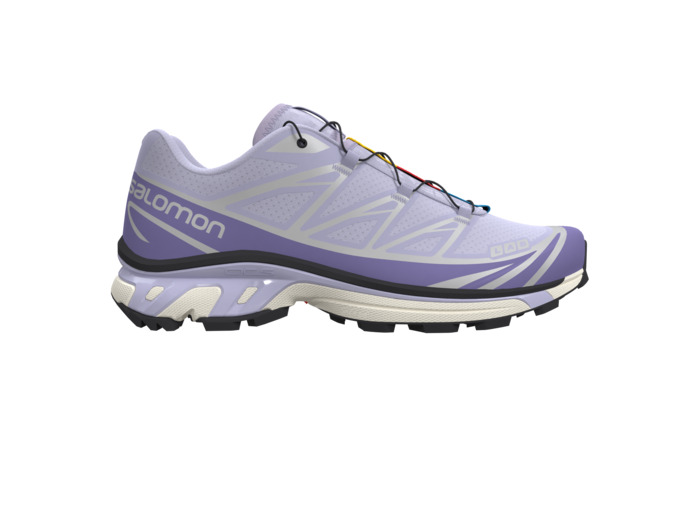 Xt-6 Purple Heather Aster Purple Ftw Sil