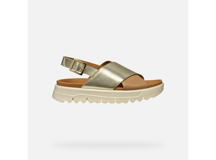 D XAND 2.1S