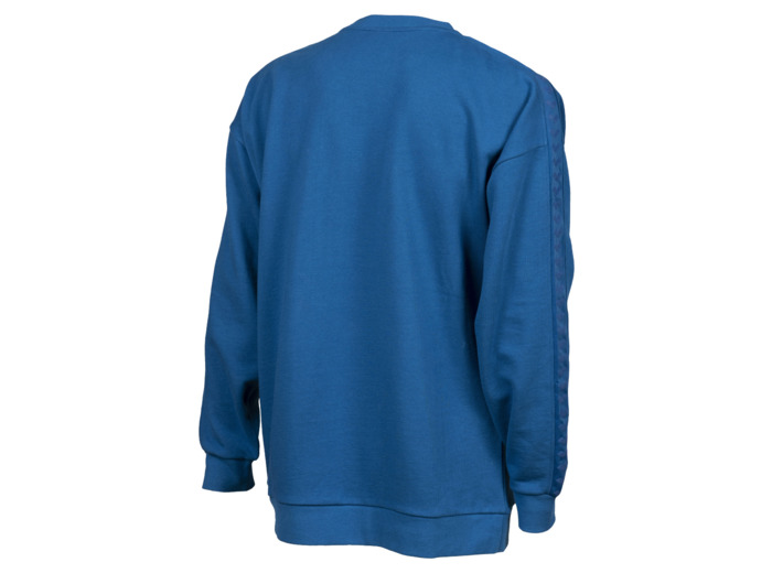 Sweat-shirt oversize unisexe arena Icons Team