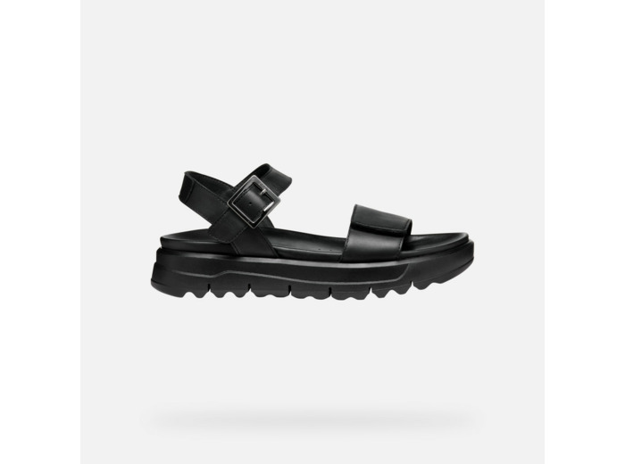 D XAND 2.1S