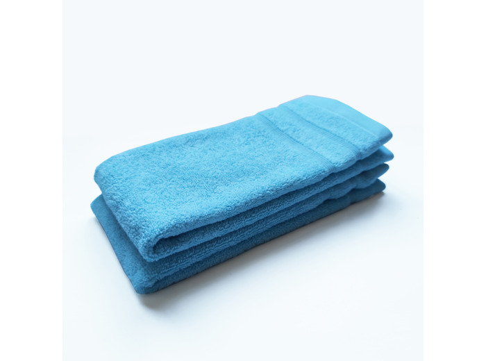 Lot de 2 Serviettes invité DODO MINERAL - Coloris TURQUOISE